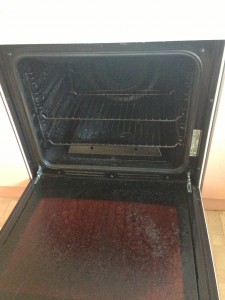 'before' oven clean Newcastle photo