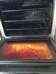 Oven Cleaning Newcastle Before Photo