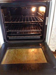 'before' oven cleaning Kotara photo